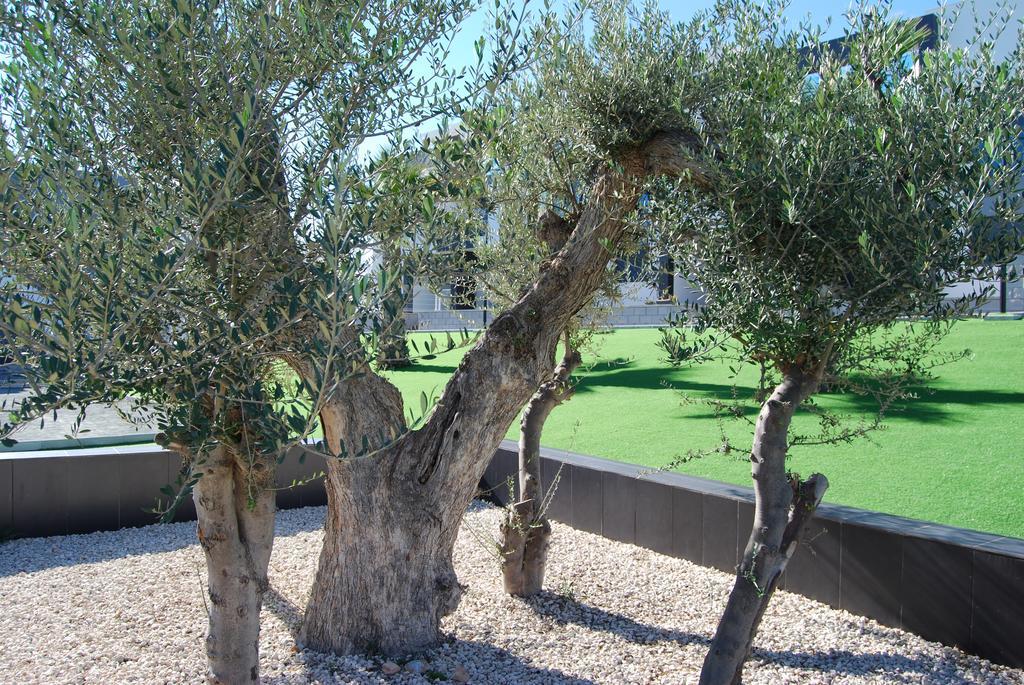Casa Punta Prima II Villa Los Altos Dış mekan fotoğraf